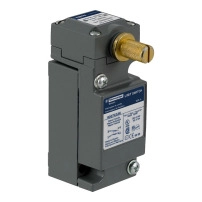 LIMIT SWITCH 600V 10AMP C +OPTIONS