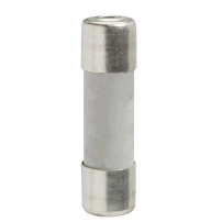 SCHNEIDER ELECTRIC Fuse 5x20 1A
