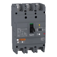 Автом.прекъсвач с ДТЗ EZCV250N 25KA 3P3D 125A  MG EASYPACT EZCV250N3125