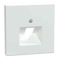 Cen.pla.f.RJ45 ins.1g lw SDsg