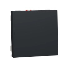 Бутон антрацит Pushbutton switch 10A 2modules
