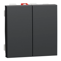 Двоен девиаторенключ Double two-way switch 10A 2modules