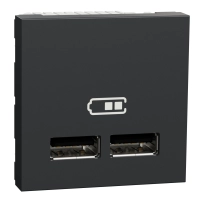 Двойно USB зарядно 2.0, антрацит