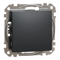 Девиаторен ключ 10AX, Антрацит 2-way switch 10AX