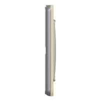 3D