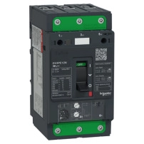 TeSys GV4 - термомагнитна  моторна Защита - 25A 3P - с Everlink