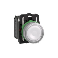 SCHNEIDER ELECTRIC Illuminated push button, white flush, 22mm, LED, 1NO+1NC, 24V AC/DC