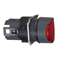 ILLUMINATED PUSHBUTTON HEAD DIAM 16 RE
