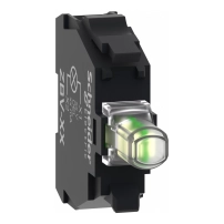 Light block white LED 110 240V screw